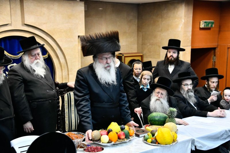 שוקי לרר