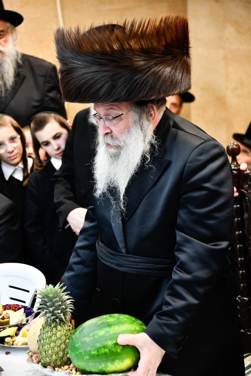 שוקי לרר