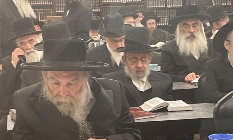 פאלם ביץ': הרבי ערך טיש והשתתף בשיעורים כאחד החסידים