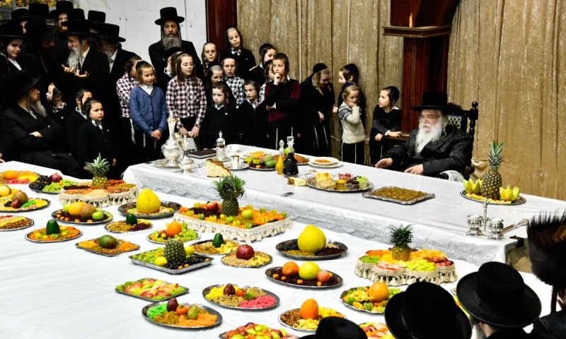 חסידות דאראג: מאות חסידים בטיש ט"ו בשבט של הרבי