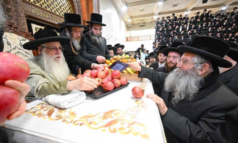 טיש ט"ו בשבט בצאנז שולב במאבק נגד פגעי הטכנולוגיה