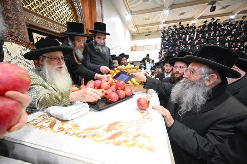 משה גולדשטיין