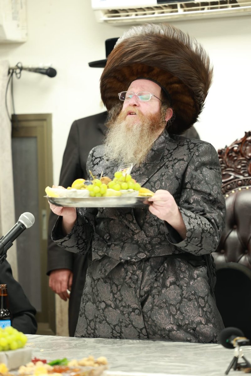 דוד ארזני