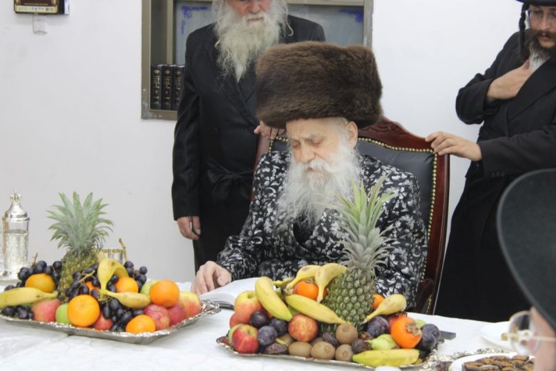 איתי קצב
