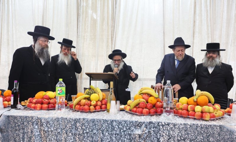 המקובל רבי גמליאל רבינוביץ ערך טיש ט"ו בשבט לילדים
