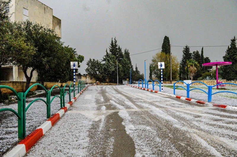 ארי קופרשטוק