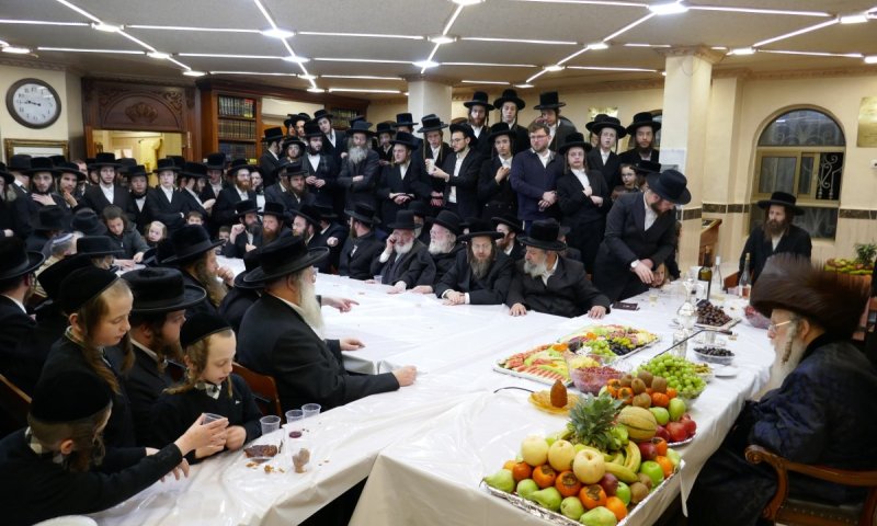 אמת המים עוברת תחתיך: טיש ט"ו בשבט בחצר קאמרנא