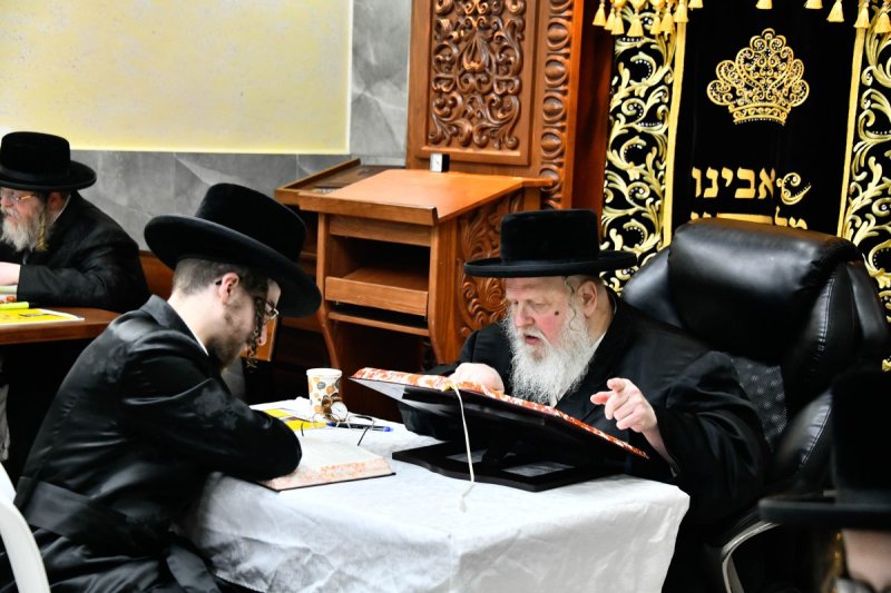 שוקי לרר