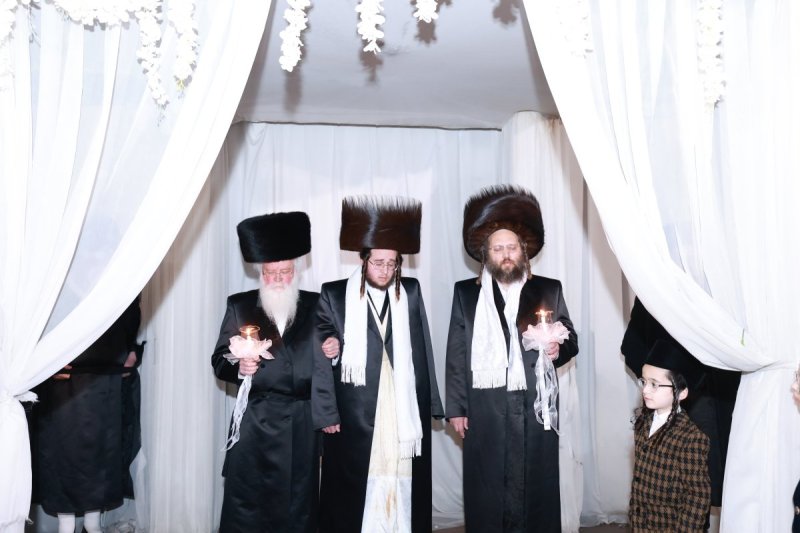 דוד ארזני