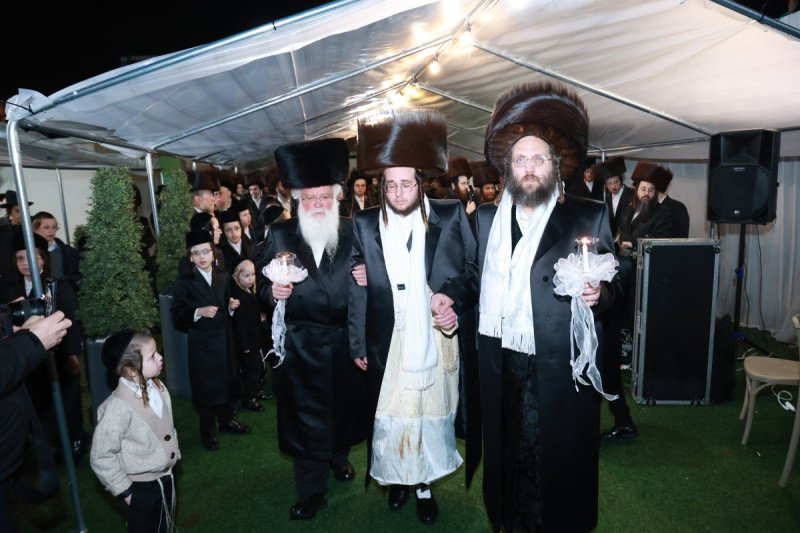 דוד ארזני