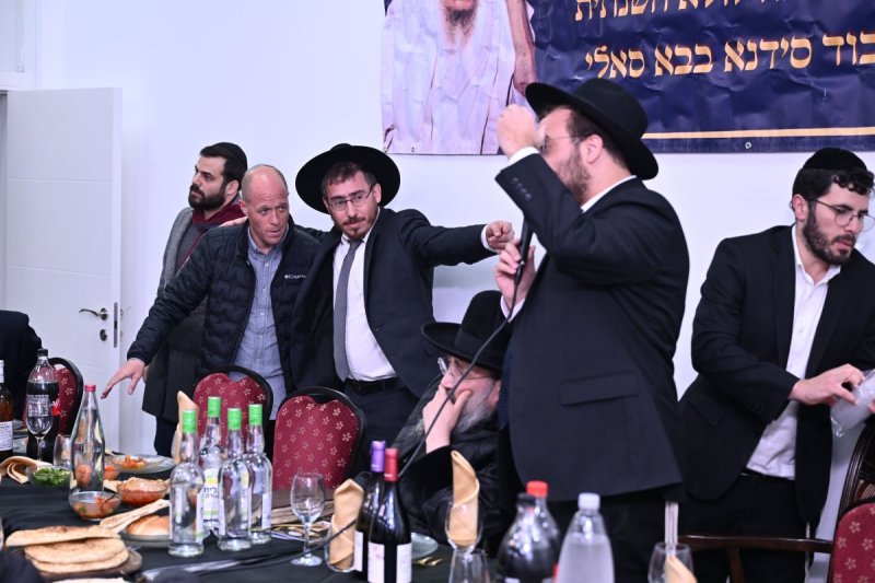 ליפא מוזר