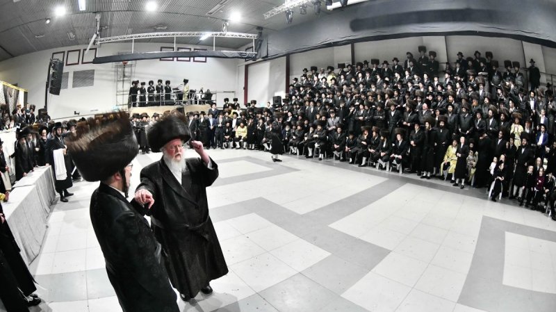 שוקי לרר