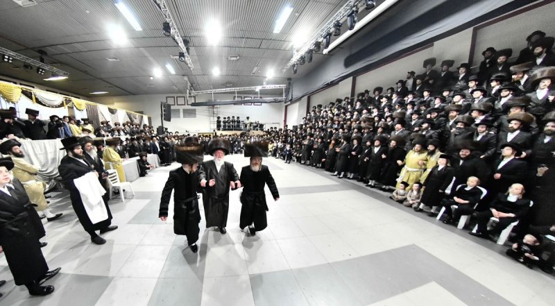 שוקי לרר