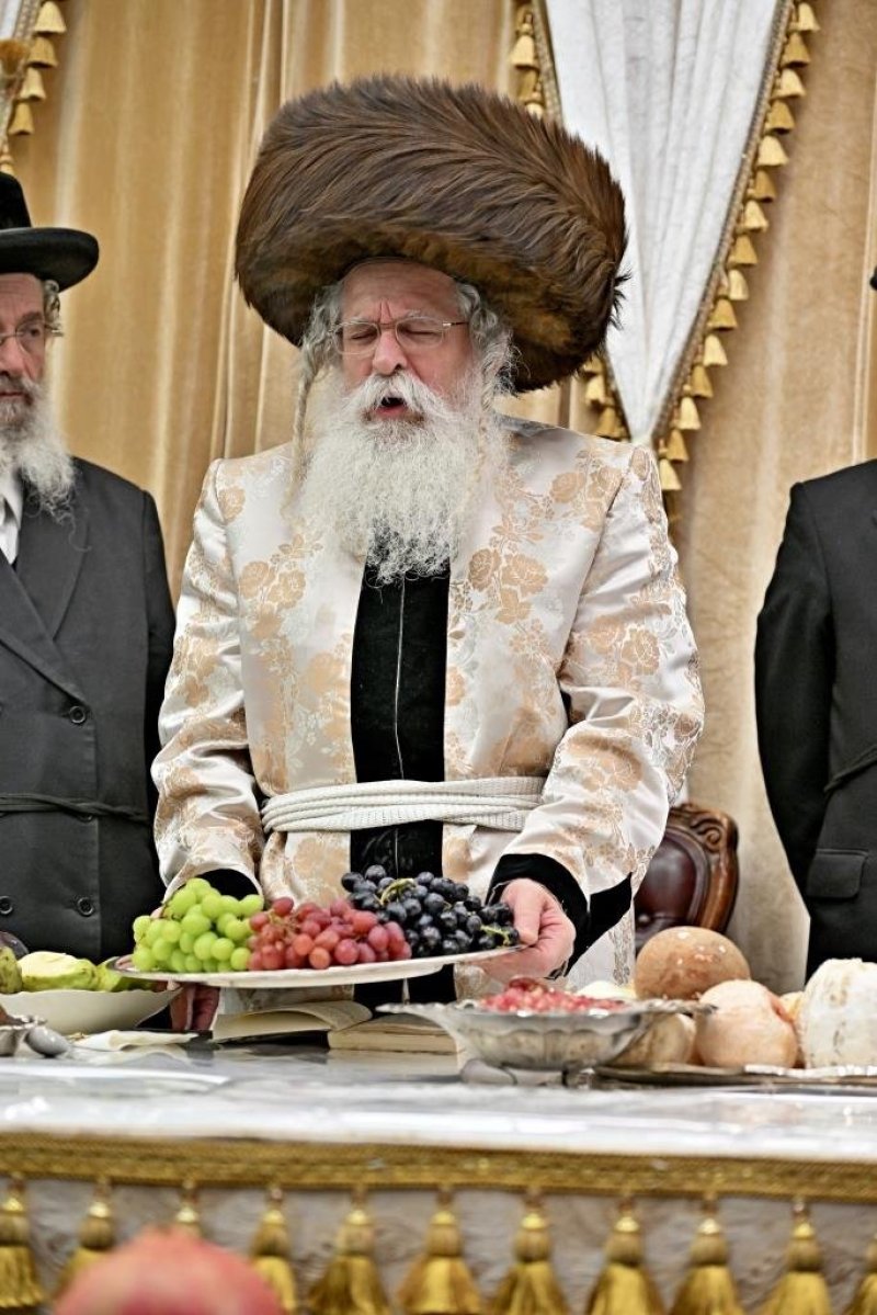 יהושע פרוכטר