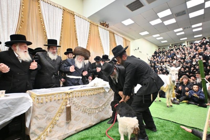 יהושע פרוכטר