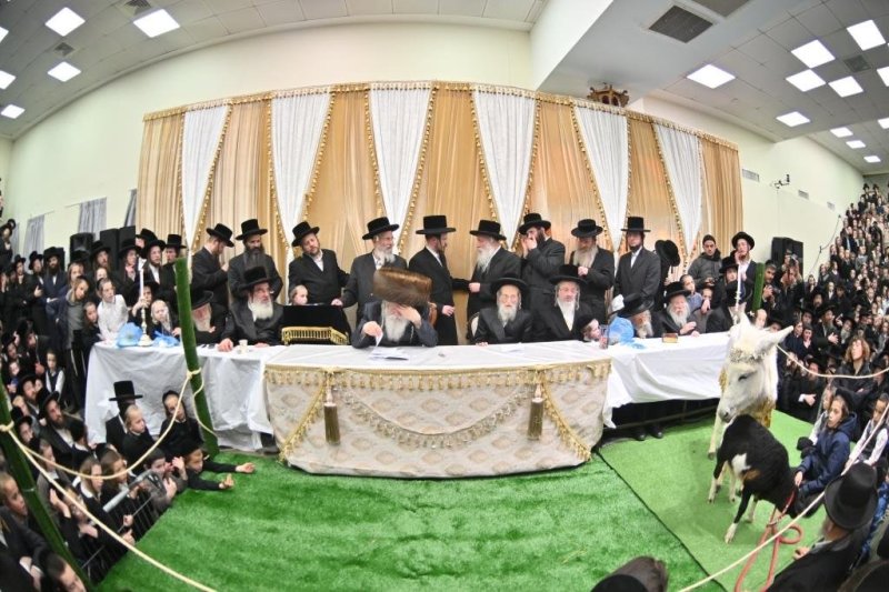 יהושע פרוכטר