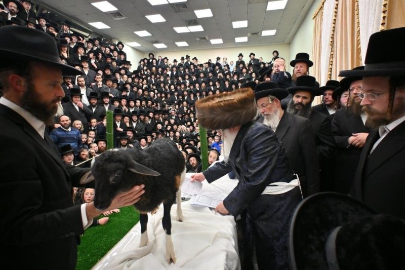 יהושע פרוכטר