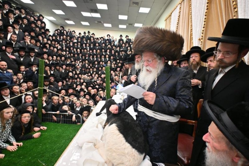 יהושע פרוכטר