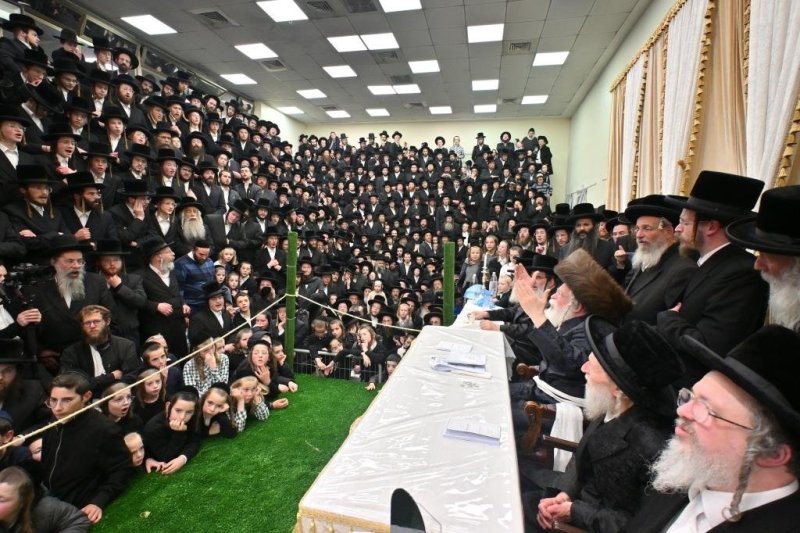 יהושע פרוכטר