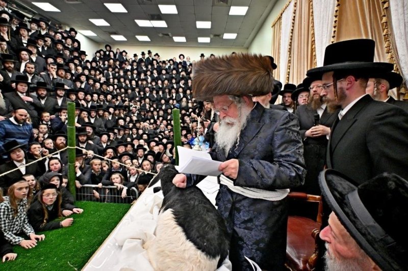 יהושע פרוכטר