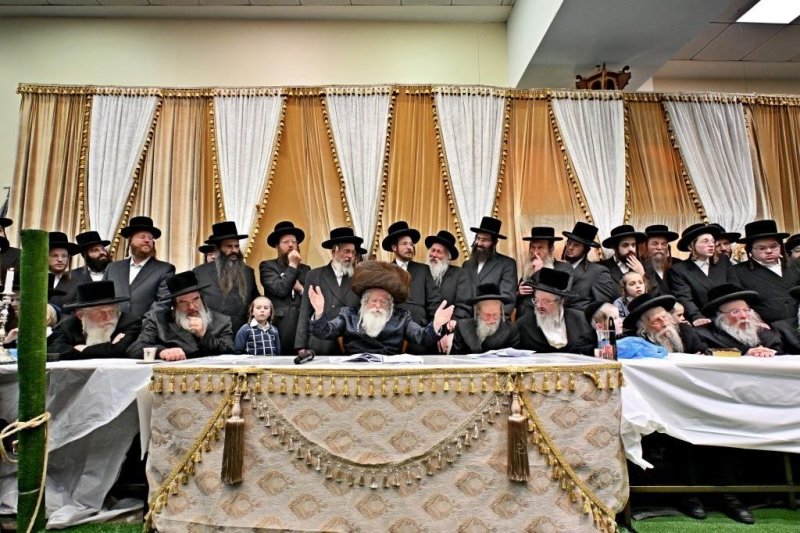 יהושע פרוכטר