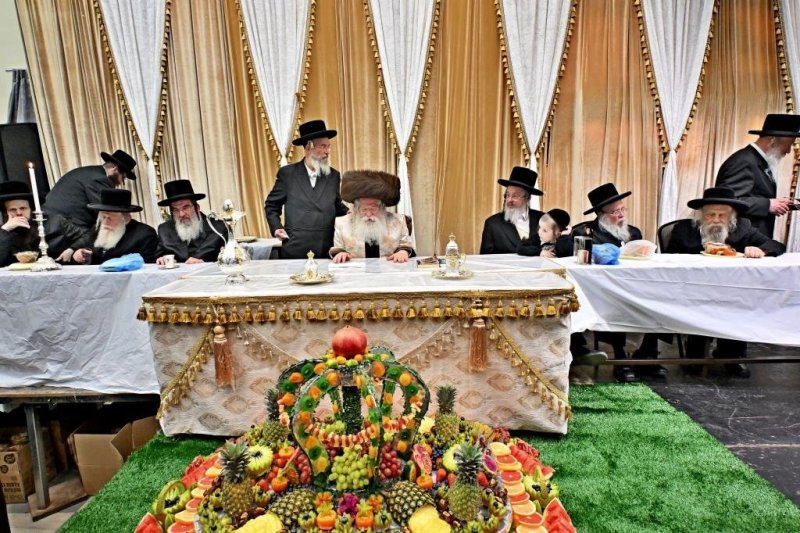 יהושע פרוכטר