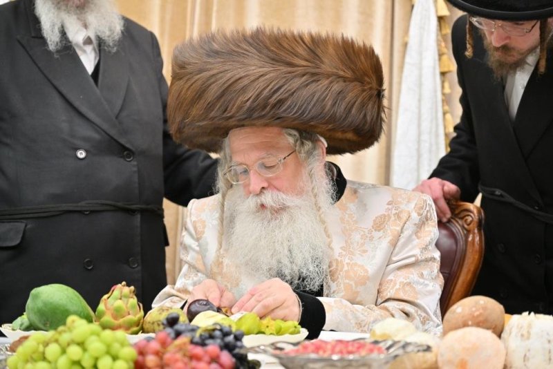 יהושע פרוכטר