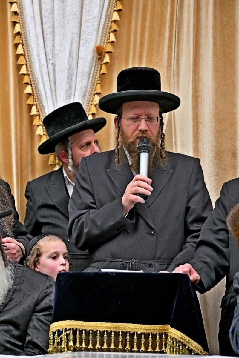 יהושע פרוכטר