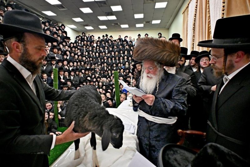 יהושע פרוכטר