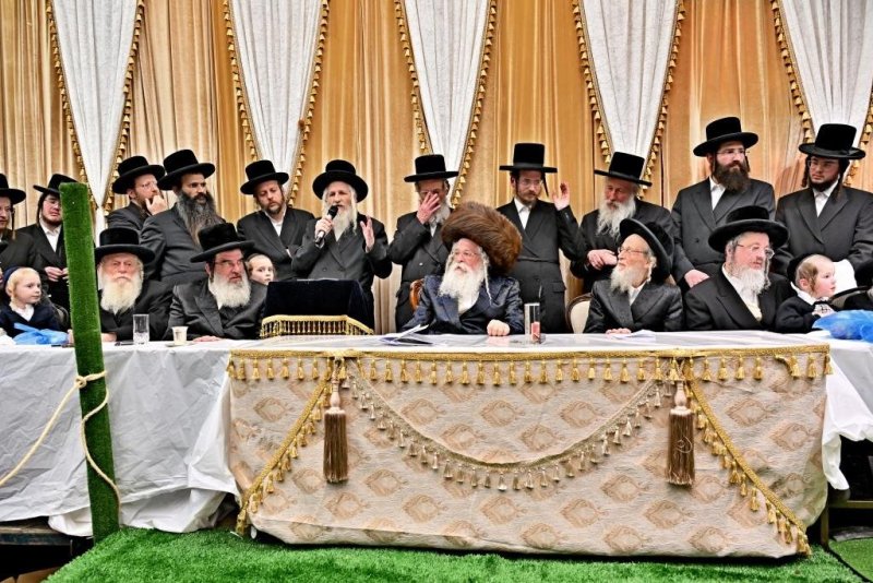יהושע פרוכטר