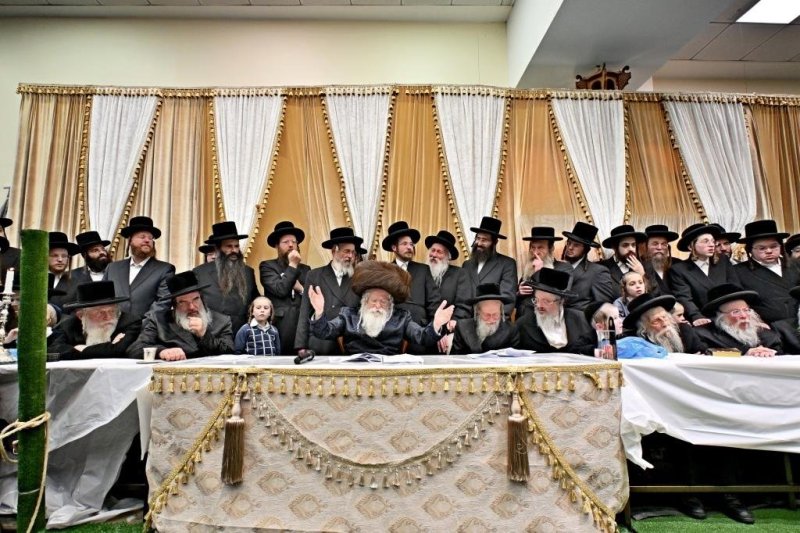 יהושע פרוכטר