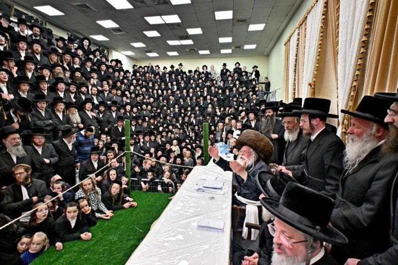 יהושע פרוכטר