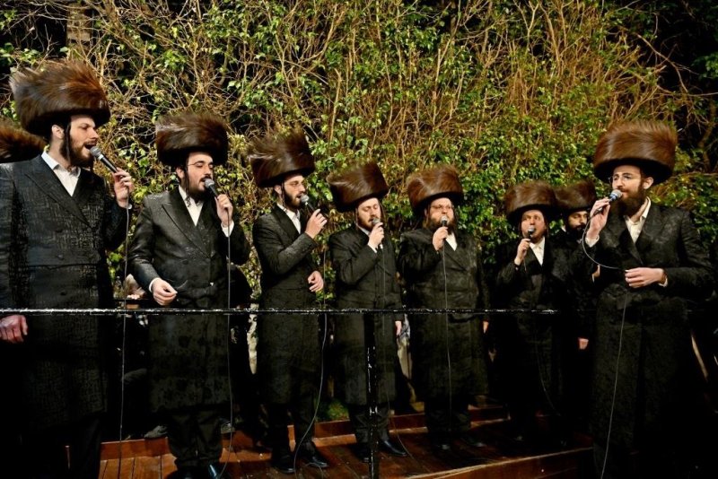 יהושע פרוכטר