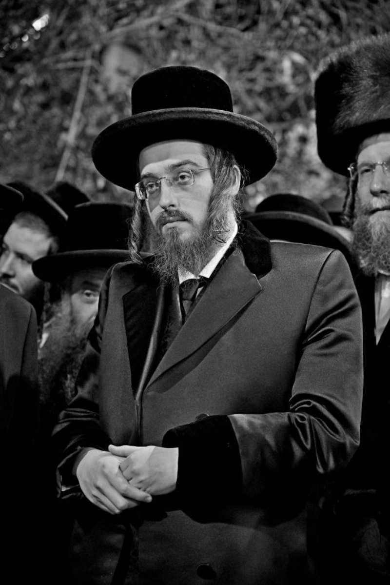 יהושע פרוכטר
