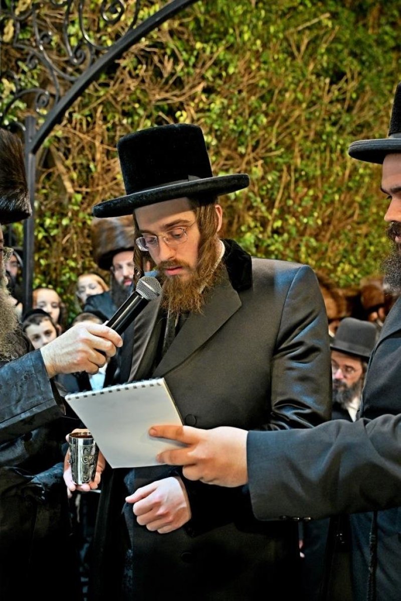 יהושע פרוכטר