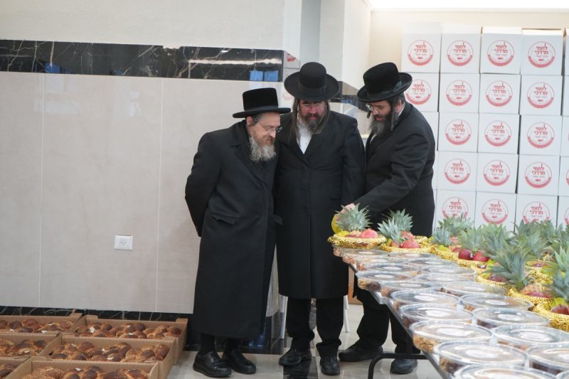 נתן הורוויץ