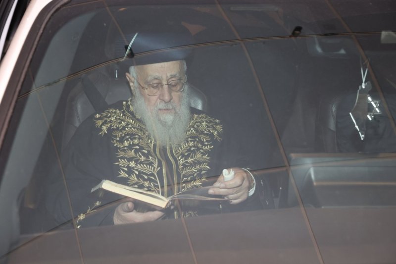 יעקב כהן