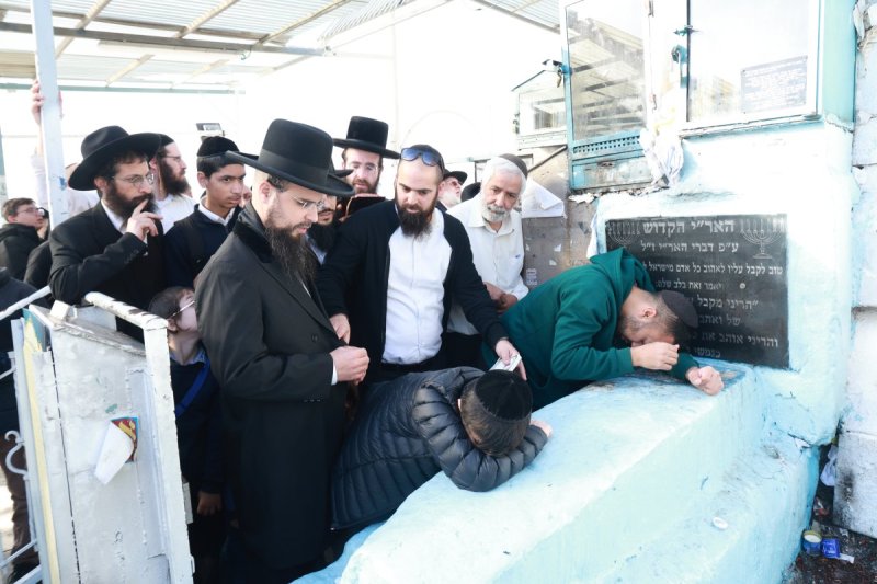 דוד ארזני
