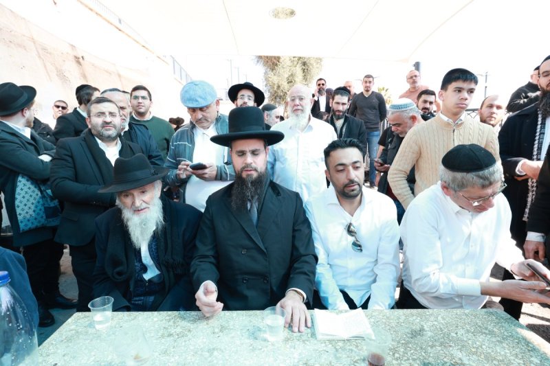 דוד ארזני