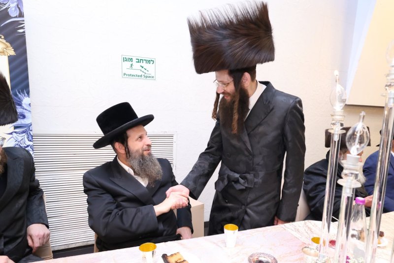 קובי הר צבי