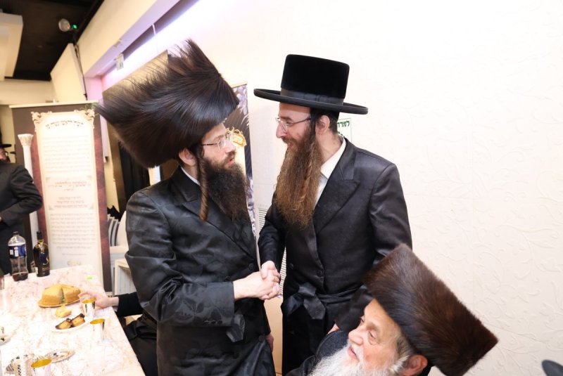 קובי הר צבי