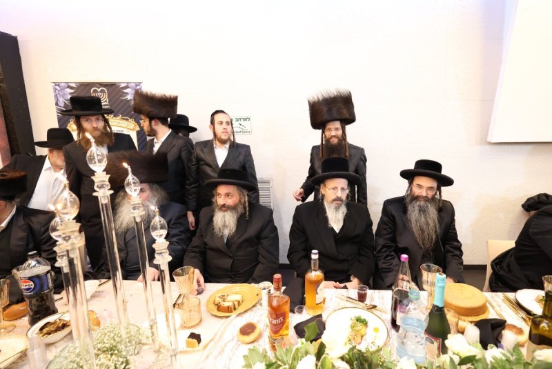 קובי הר צבי