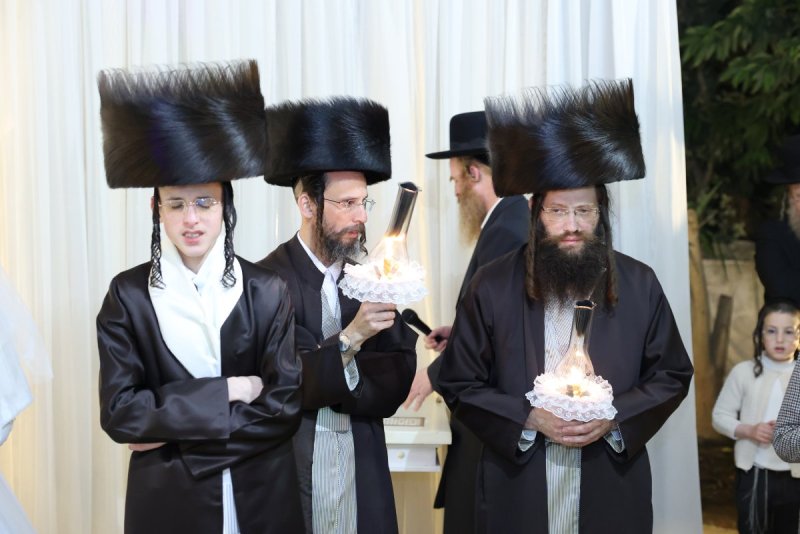 קובי הר צבי