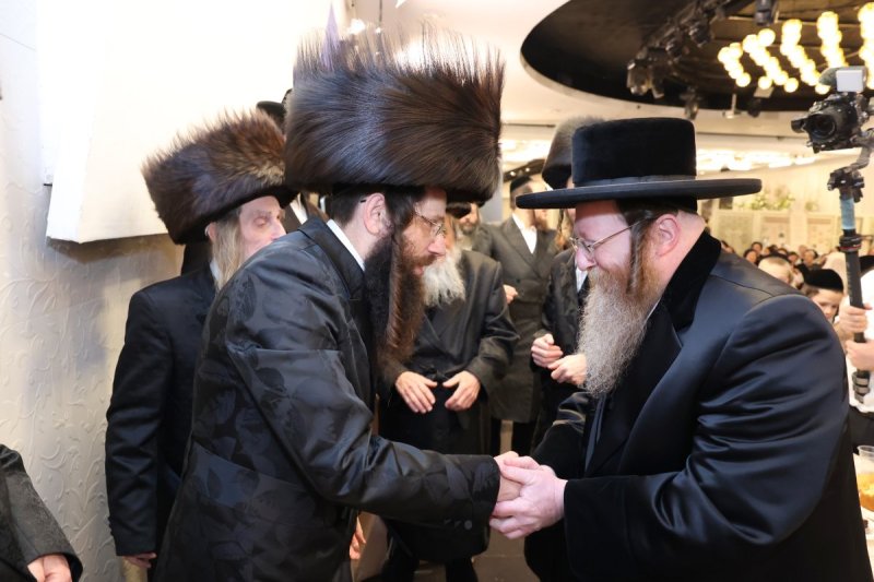 קובי הר צבי