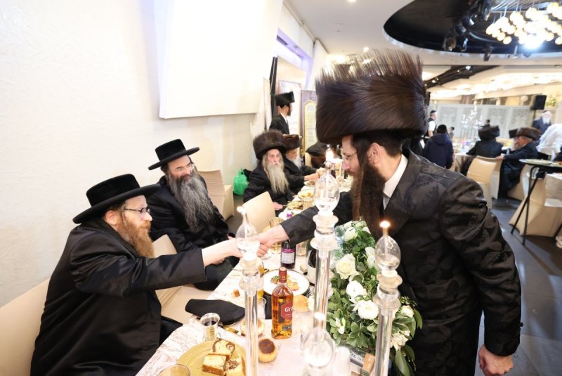 קובי הר צבי