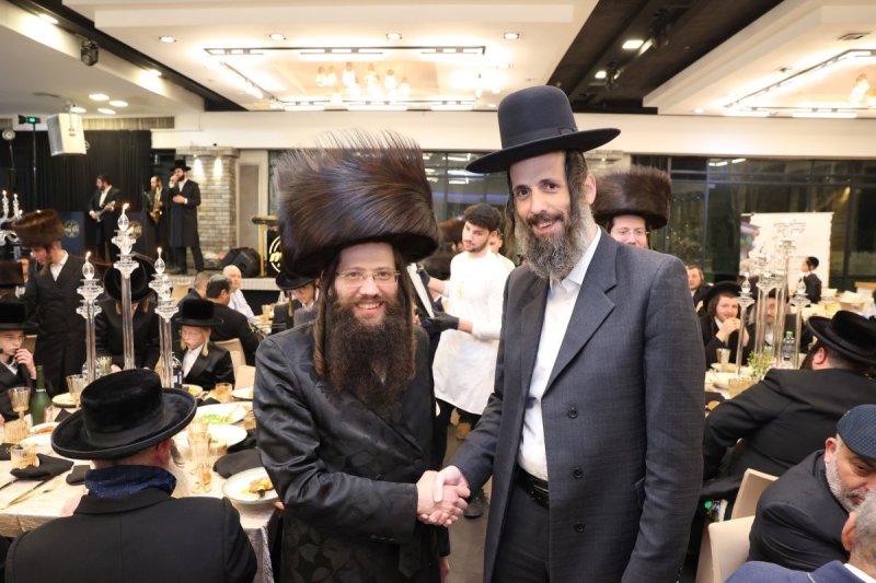 קובי הר צבי