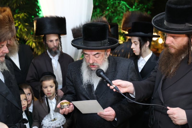קובי הר צבי