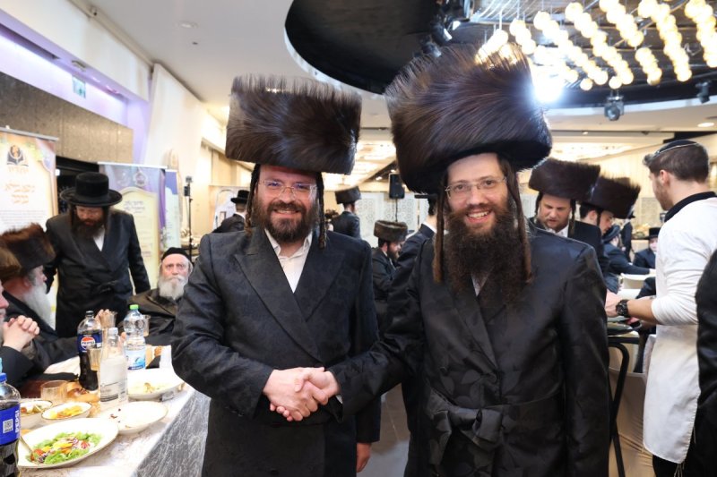קובי הר צבי