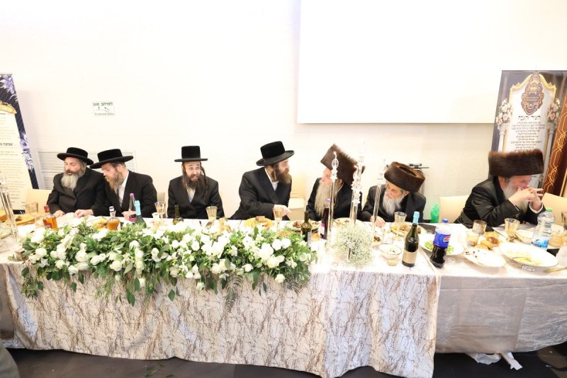 קובי הר צבי