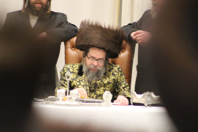 דוד מילר